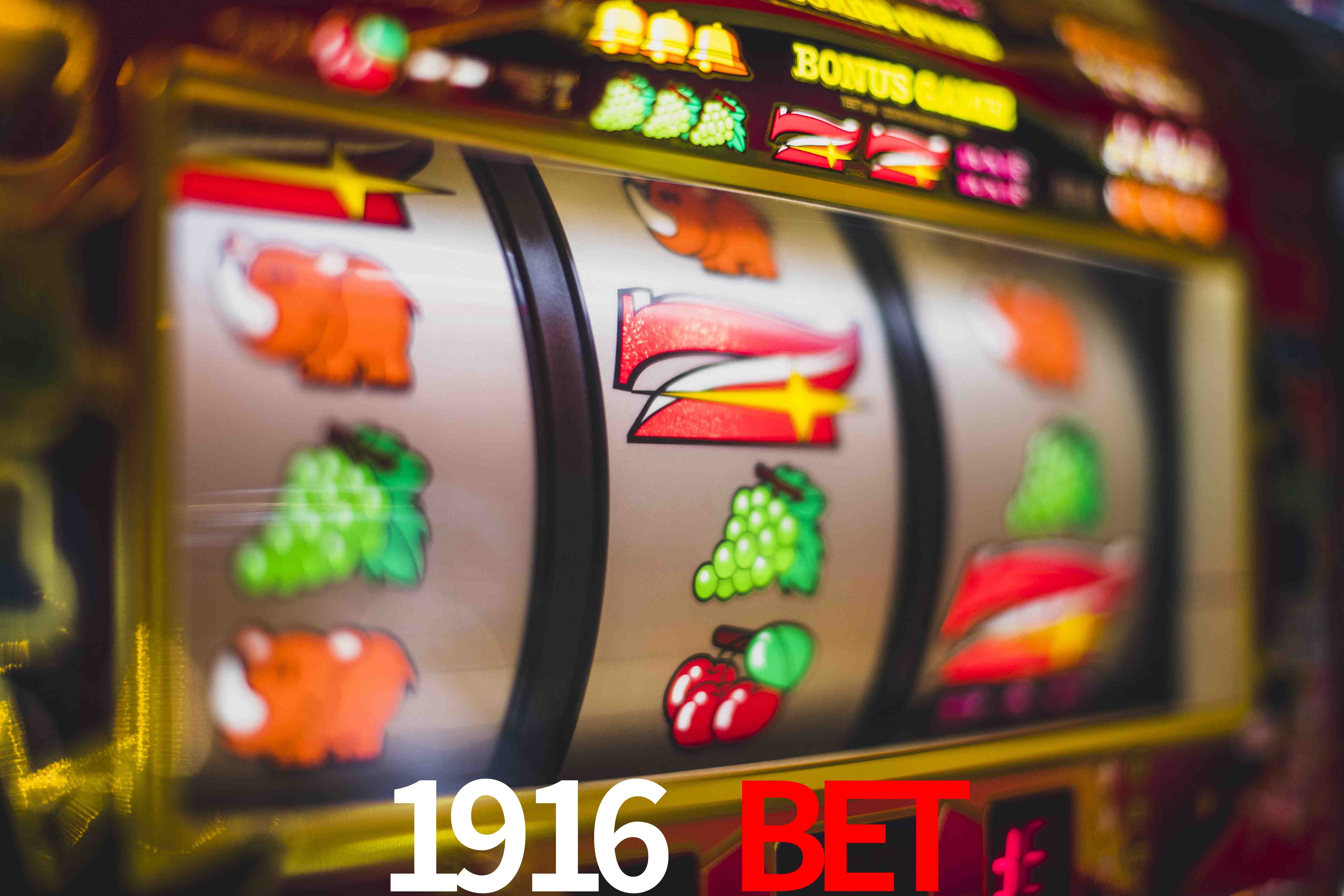 Crash Games Statistics 1916 bet