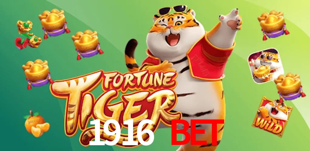 Crash Games Statistics 1916 bet